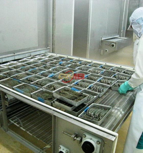 BĂNG CHUYỀN LƯỚI